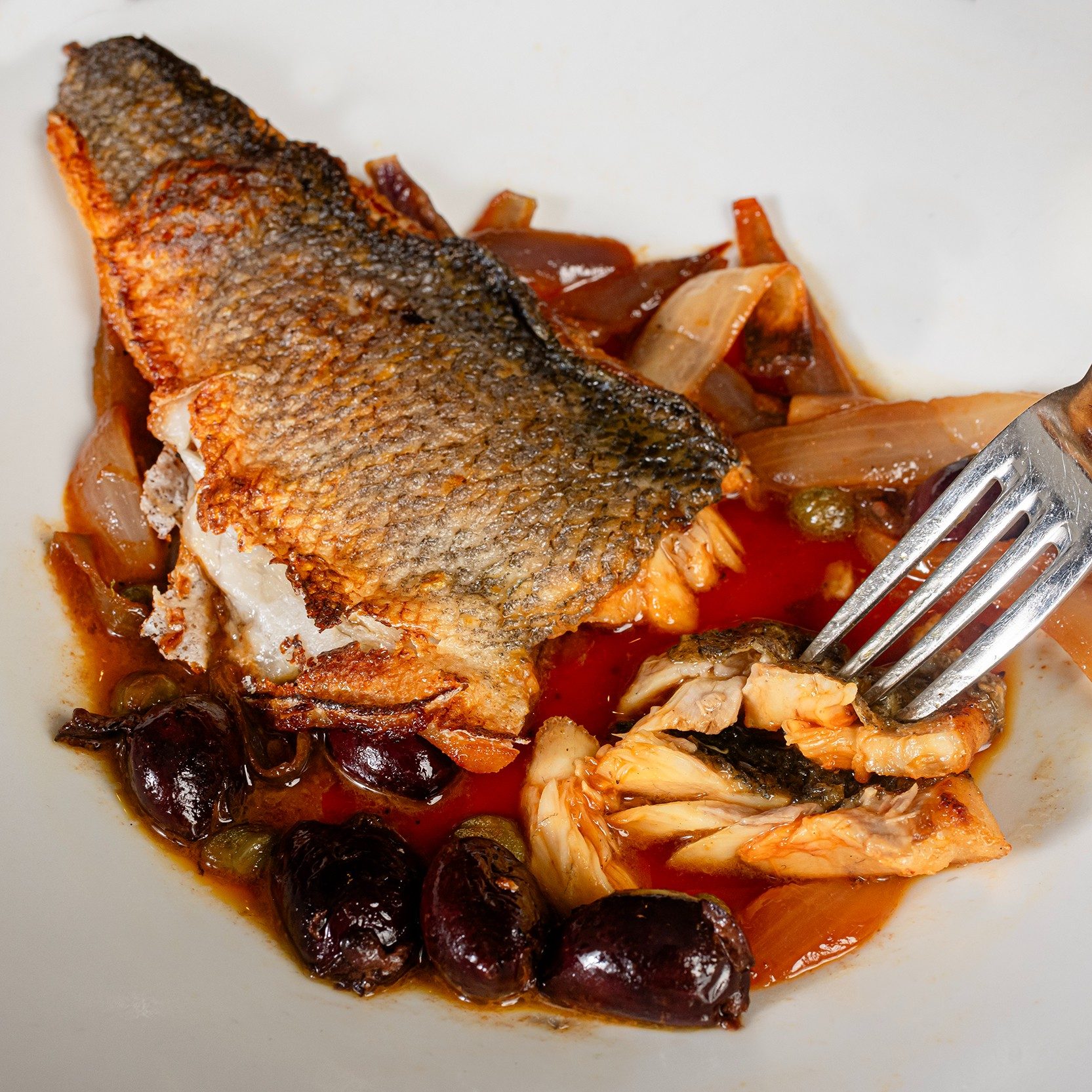 Bronzino Mediterraneo.